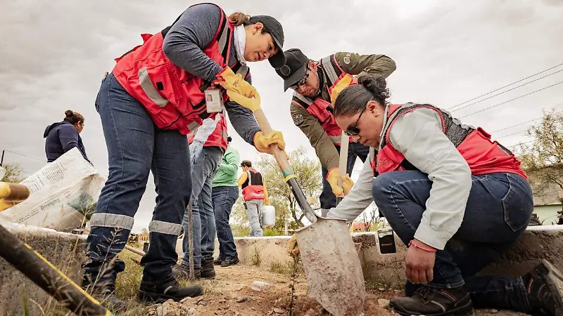 Reforestación en Mazapil apuesta por la biodiversidad
